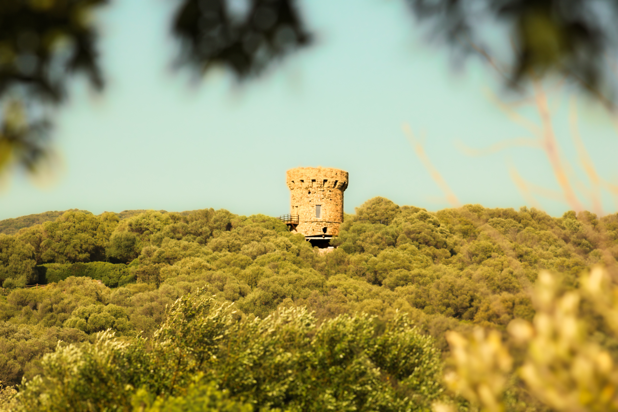 Vue de la tour
